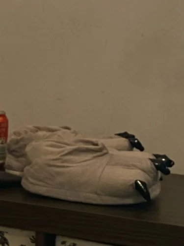 funny men's novelty slippers photo review