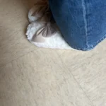 cozy women's fuzzy slippers photo review